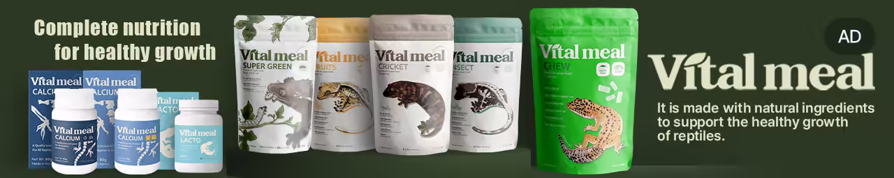 Vital Meal(Ad)